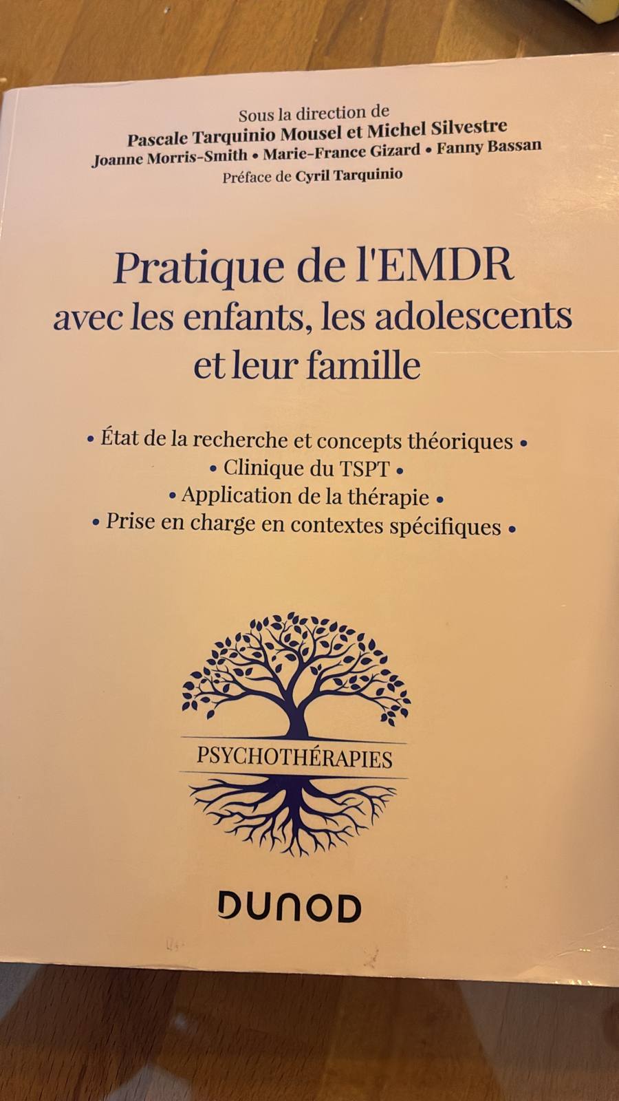 Couverture du livre Pratique de l’EMDR avec les enfants, les adolescents et leur famille, éditions Dunod