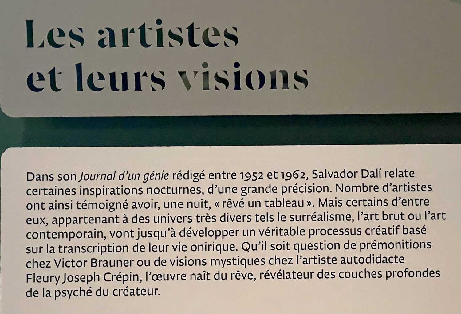 Les artistes et leurs visions