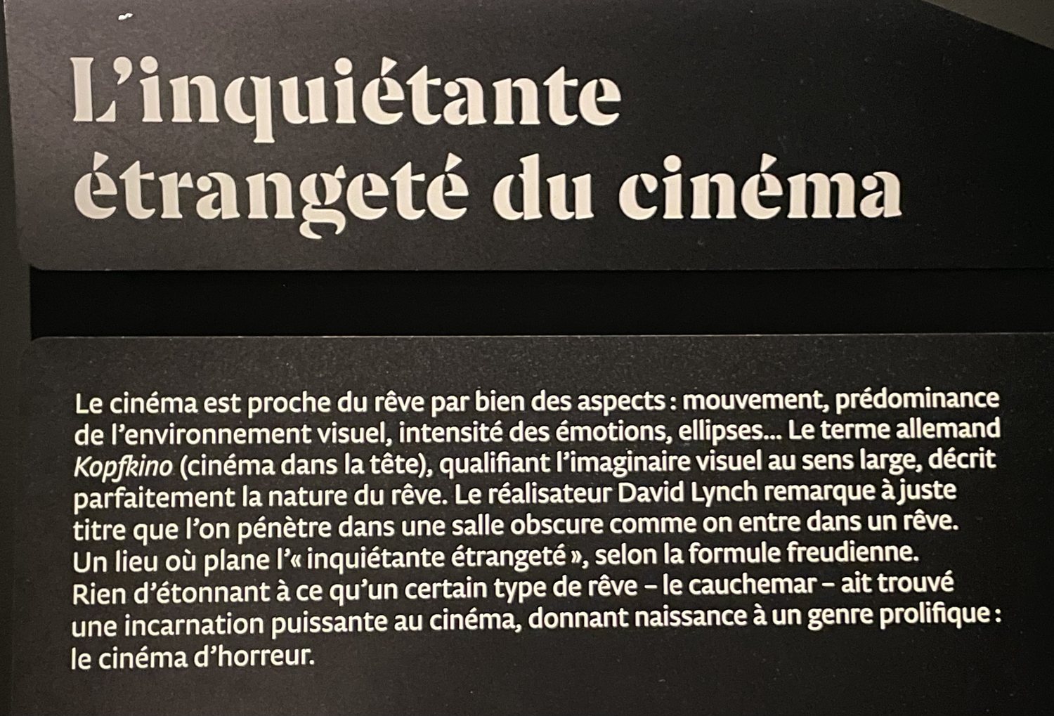 L'inquiétante étrangeté du cinéma