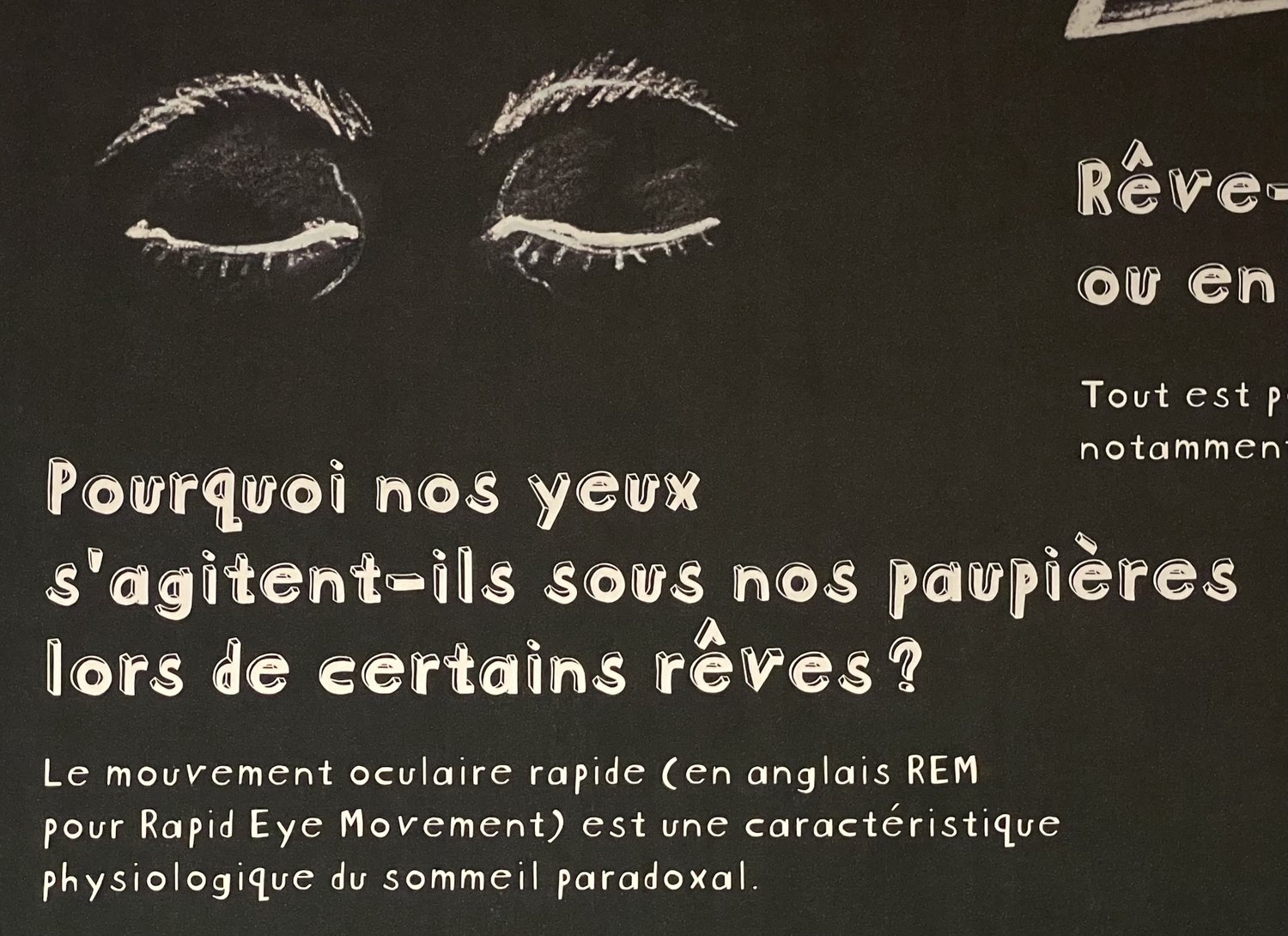 Les mouvements oculaires du sommeil paradoxal