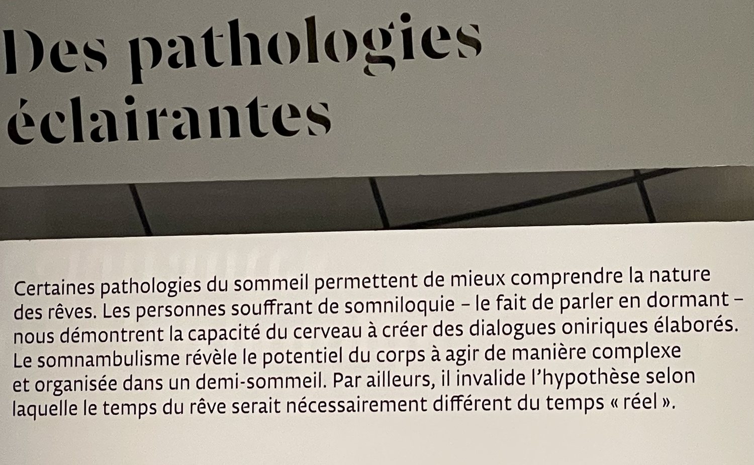 Des pathologies éclairantes